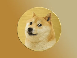 DOGE | Saiba Mais
